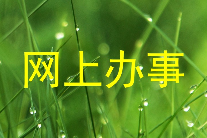 网上办事