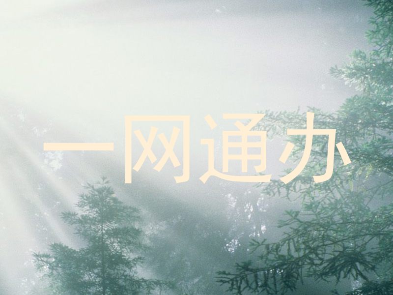 一网通办