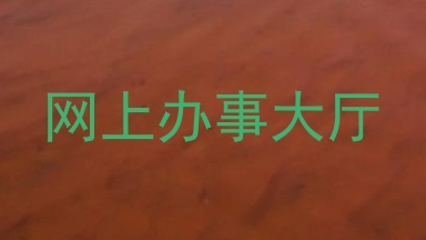 网上办事大厅