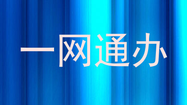 一网通办