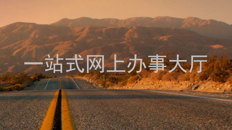 一站式网上办事大厅
