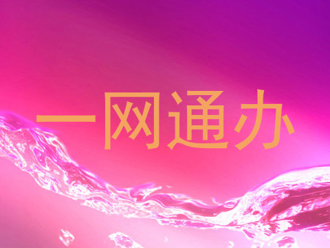 一网通办