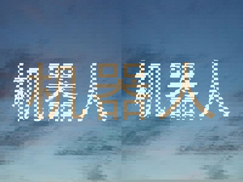 机器人