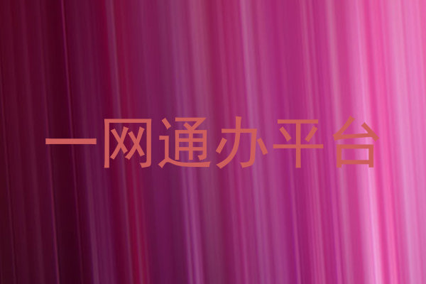 一网通办