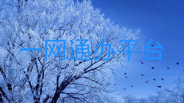 一网通办平台