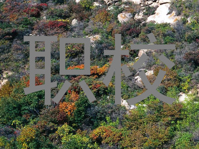 职校