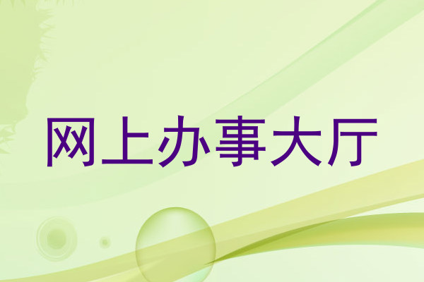 网上办事大厅