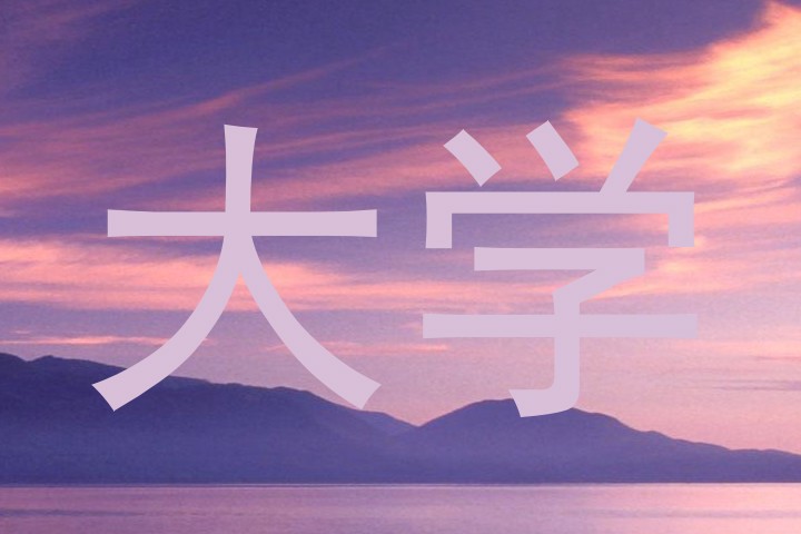 大学