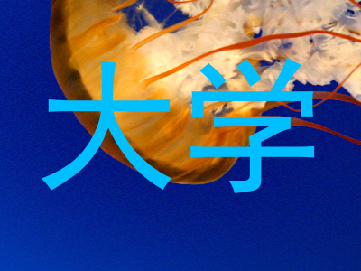 大学