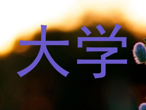 大学