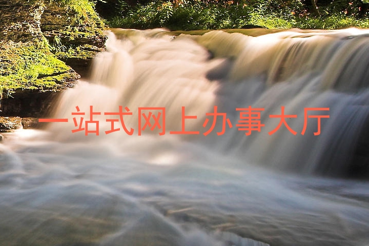 一站式网上办事大厅