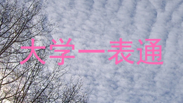 大学一表通