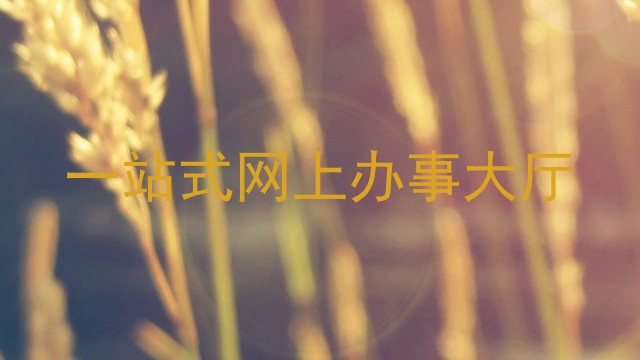 一站式网上办事大厅