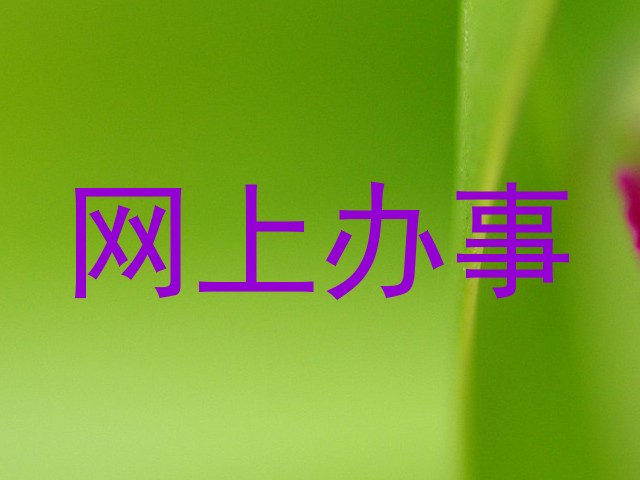 网上办事