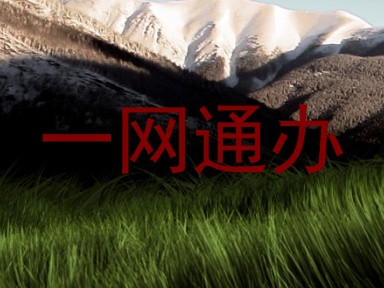 一网通办