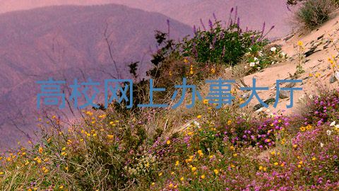 高校网上办事大厅