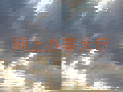 网上办事大厅