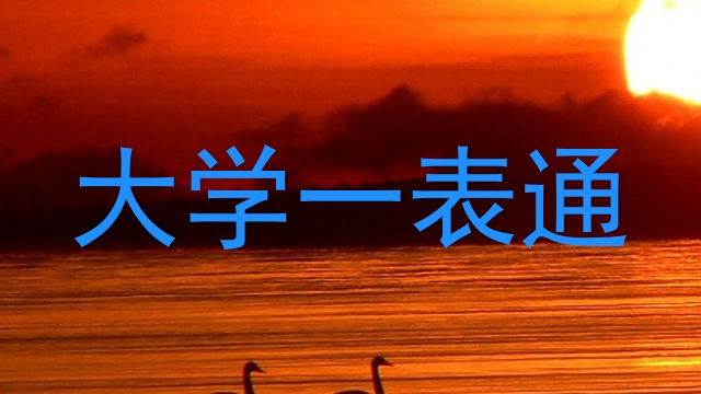 大学一表通