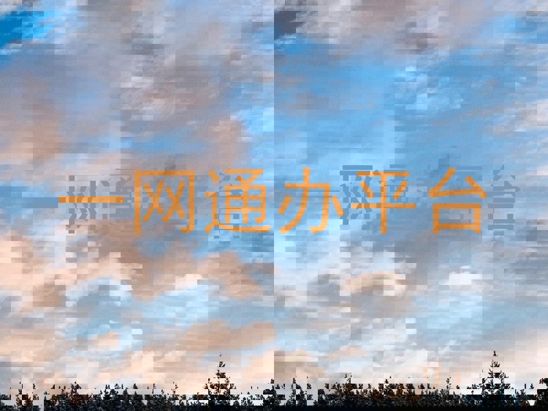 一网通办平台