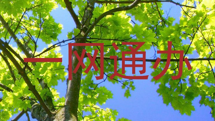 一网通办