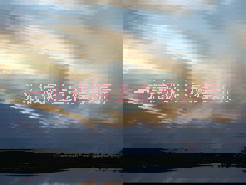 一站式网上办事大厅