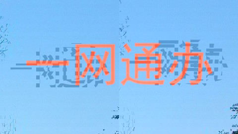 一网通办