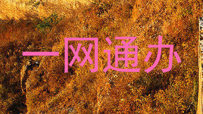 一网通办