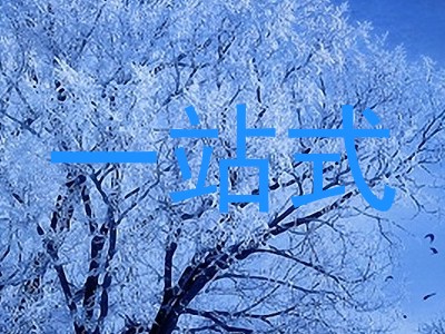 一站式