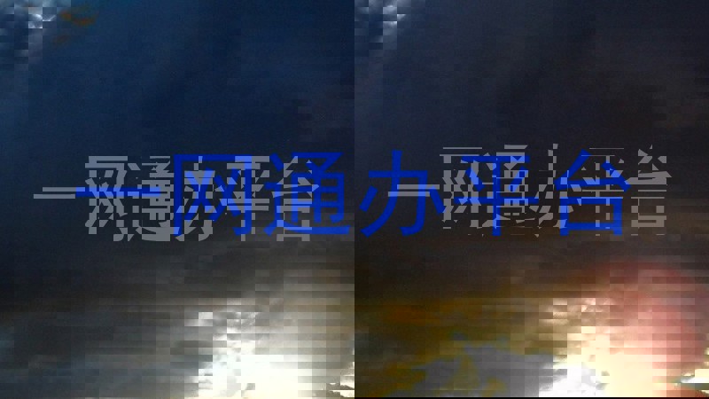 一网通办平台