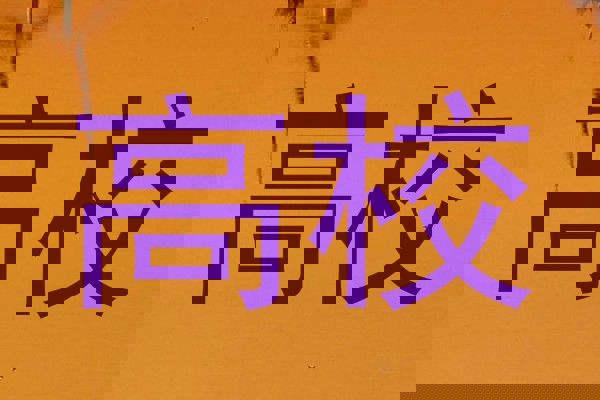 高校