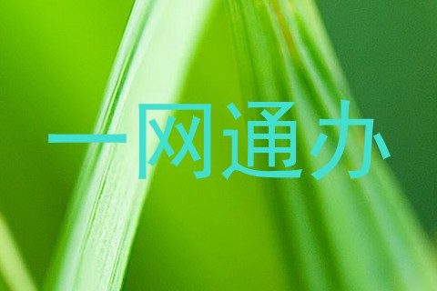 一网通办
