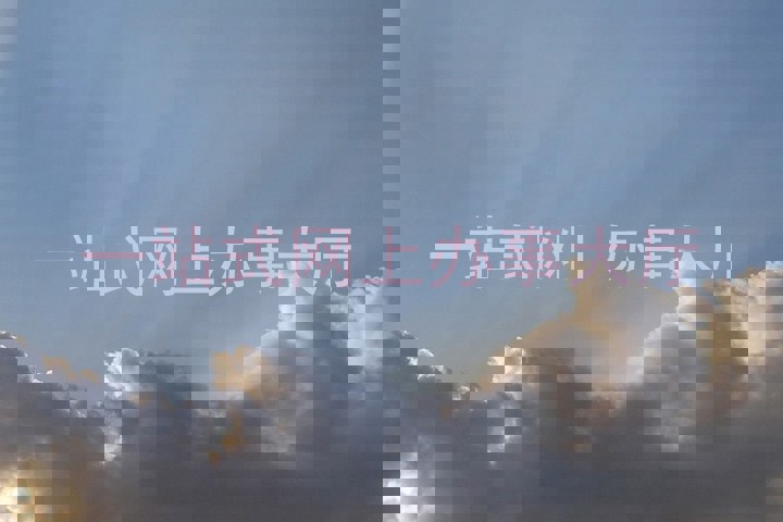 一站式网上办事大厅