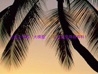 兰州大学的‘大模型’，让流程变得超有料！