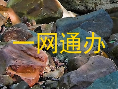 一网通办