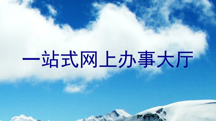 一站式网上办事大厅