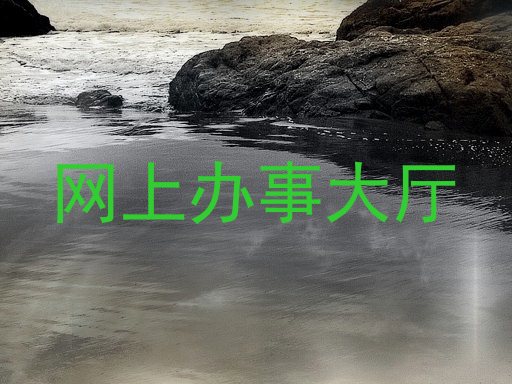 网上办事大厅