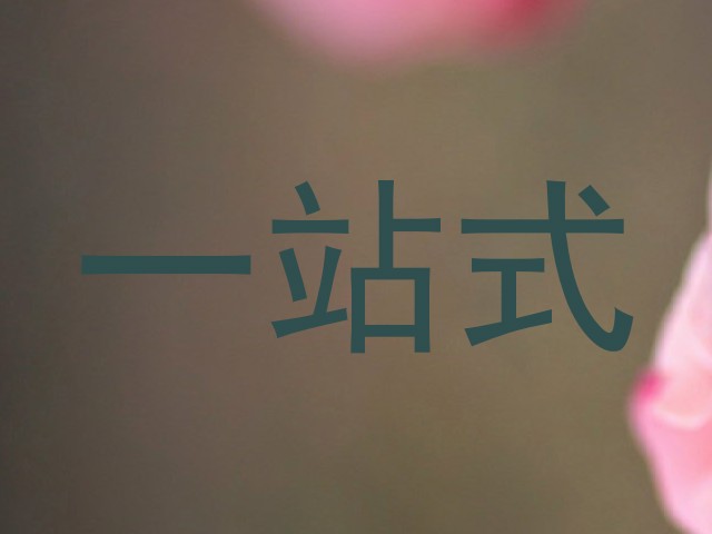 一站式