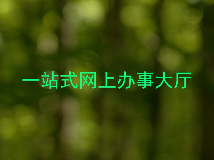 一站式网上办事大厅