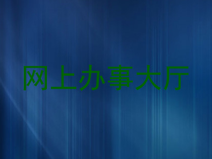 网上办事大厅