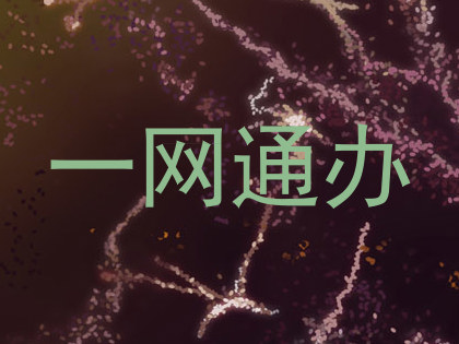 一网通办