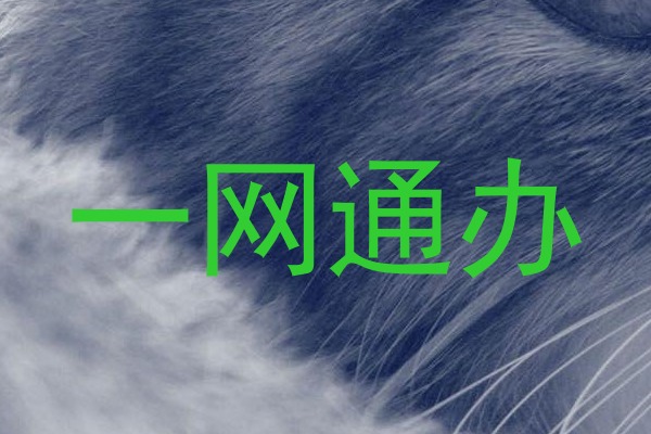 一网通办