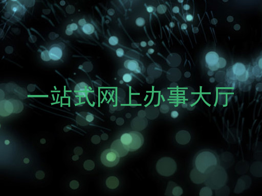 一站式网上办事大厅