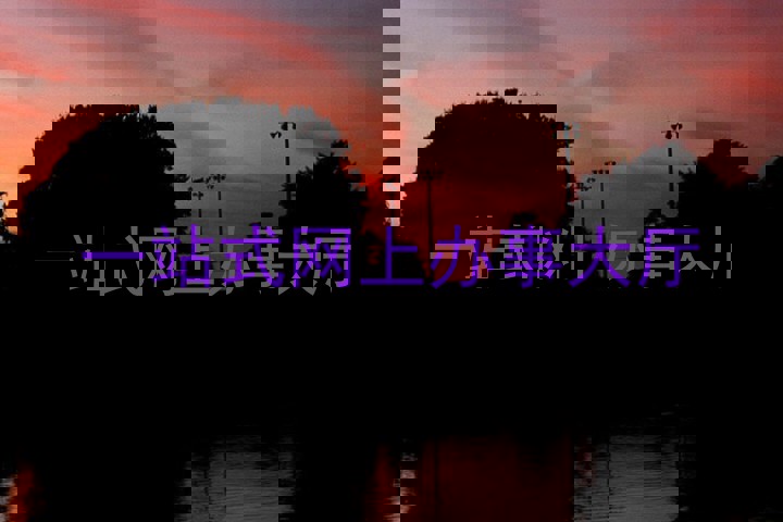 一站式网上办事大厅