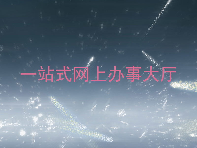一站式网上办事大厅