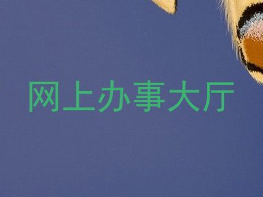 网上办事大厅