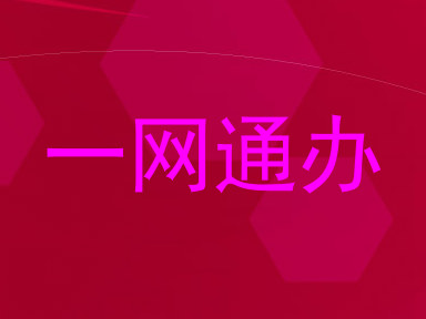 一网通办