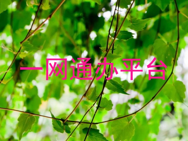 一网通办平台
