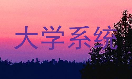 大学系统