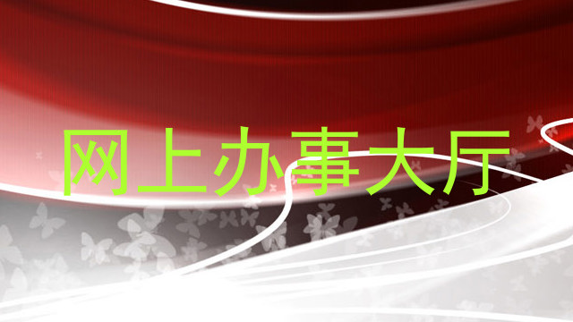 网上办事大厅