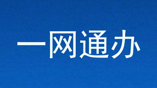 一网通办